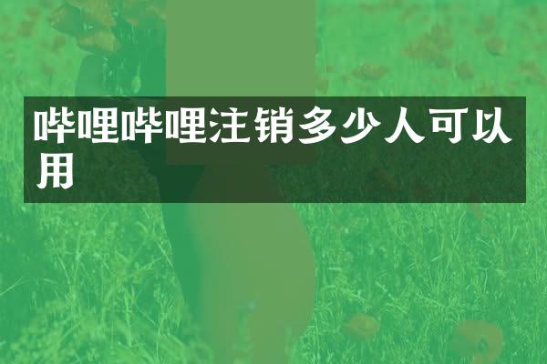 哔哩哔哩注销多少人可以用