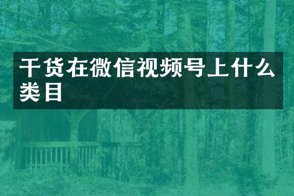 干货在微信视频号上什么类目