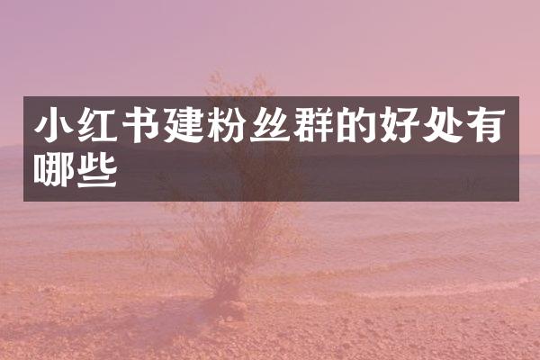 小红书建粉丝群的好处有哪些