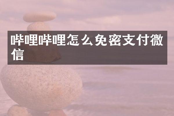 哔哩哔哩怎么免密支付微信