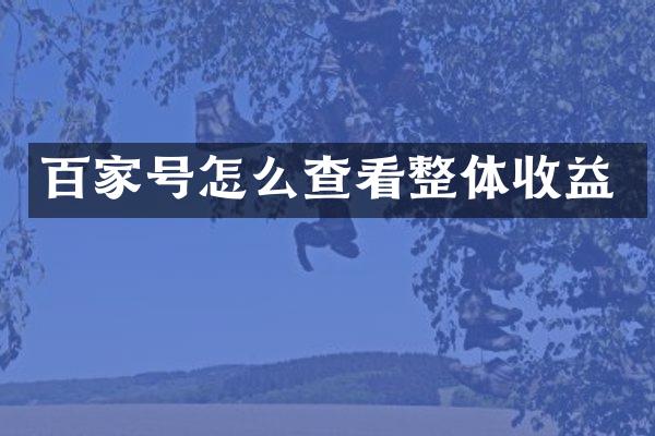 百家号怎么查看整体收益