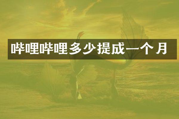 哔哩哔哩多少提成一个月