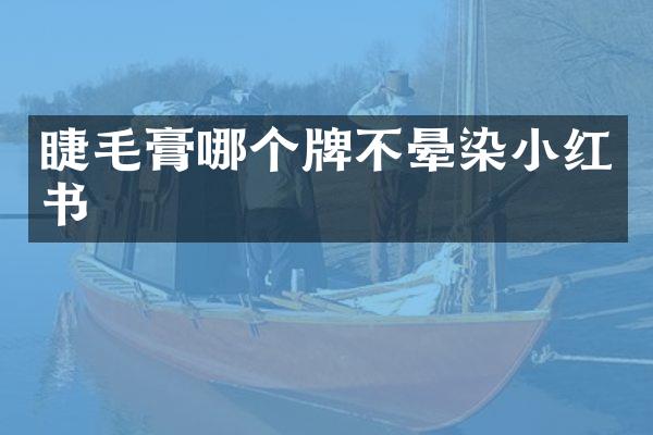 睫毛膏哪个牌不晕染小红书