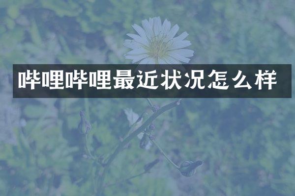 哔哩哔哩最近状况怎么样