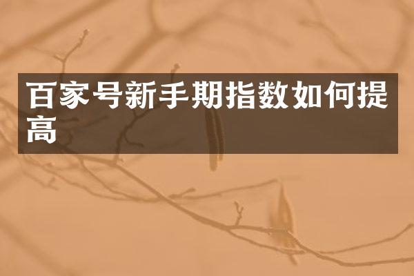 百家号新手期指数如何提高