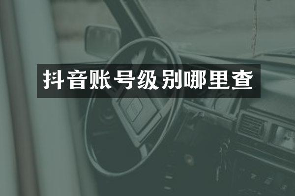 抖音账号级别哪里查