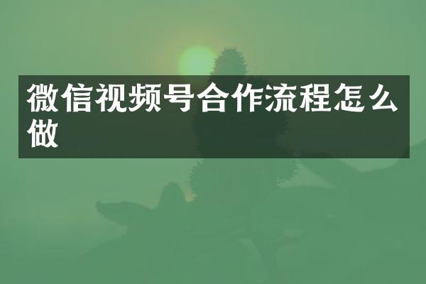 微信视频号合作流程怎么做