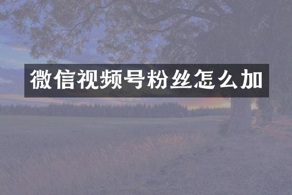 微信视频号粉丝怎么加