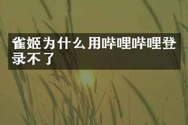 雀姬为什么用哔哩哔哩登录不了
