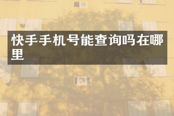 快手手机号能查询吗在哪里