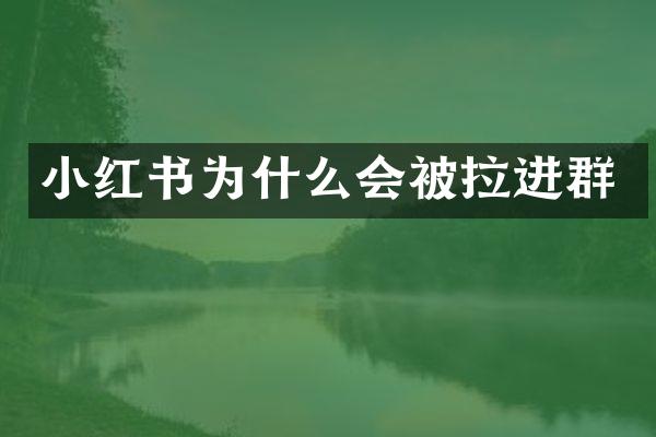 小红书为什么会被拉进群