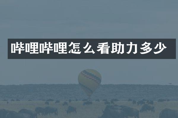 哔哩哔哩怎么看助力多少