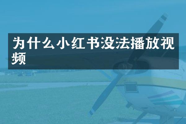 为什么小红书没法播放视频