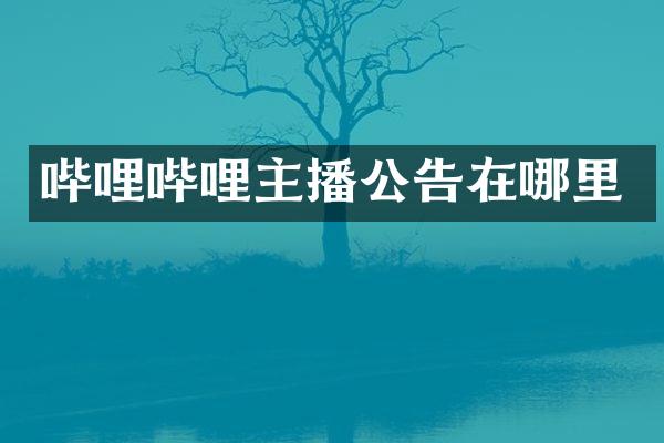 哔哩哔哩主播公告在哪里