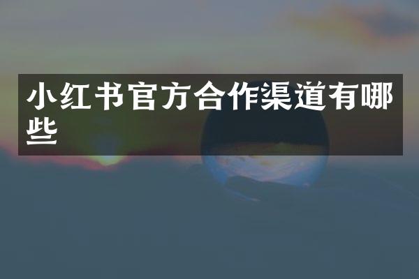 小红书官方合作渠道有哪些