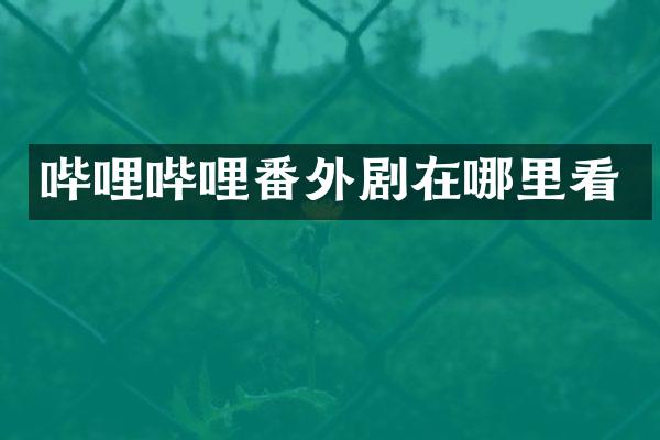 哔哩哔哩番外剧在哪里看