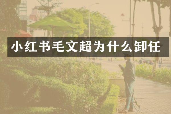 小红书毛文超为什么卸任