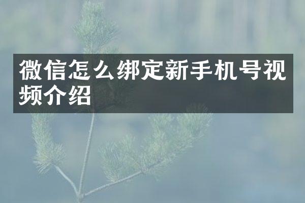 微信怎么绑定新手机号视频介绍