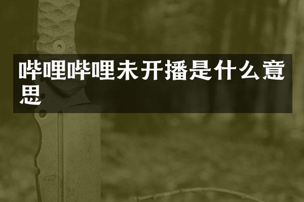 哔哩哔哩未开播是什么意思