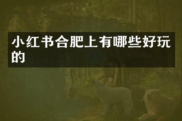 小红书合肥上有哪些好玩的