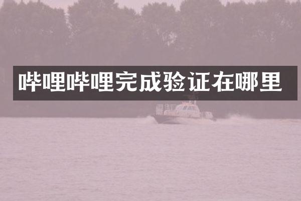 哔哩哔哩完成验证在哪里