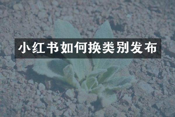 小红书如何换类别发布