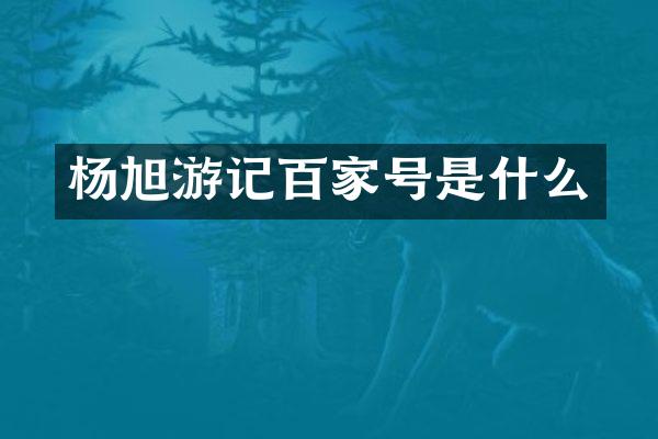 杨旭游记百家号是什么