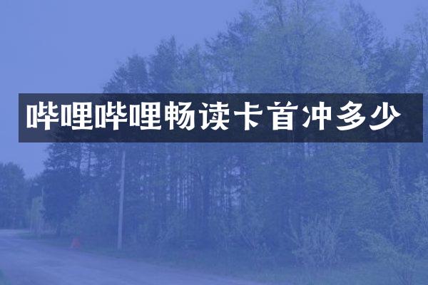 哔哩哔哩畅读卡首冲多少