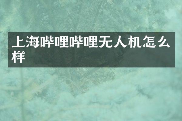 上海哔哩哔哩无人机怎么样