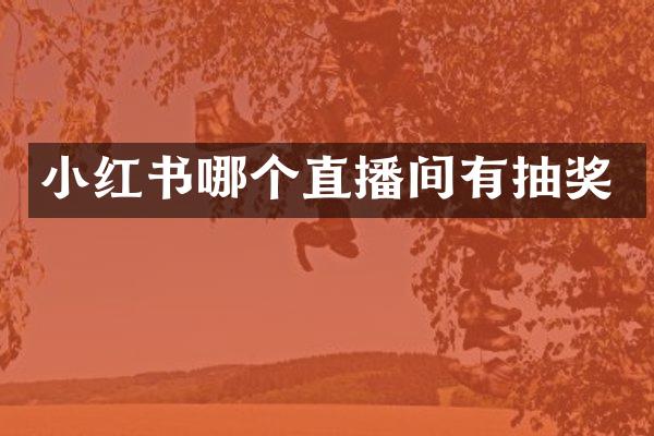 小红书哪个直播间有抽奖