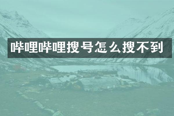 哔哩哔哩搜号怎么搜不到