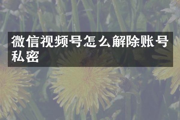 微信视频号怎么解除账号私密