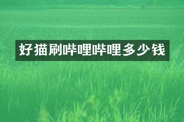 好猫刷哔哩哔哩多少钱