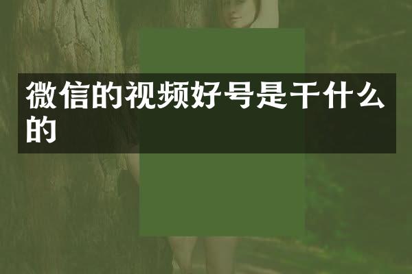微信的视频好号是干什么的