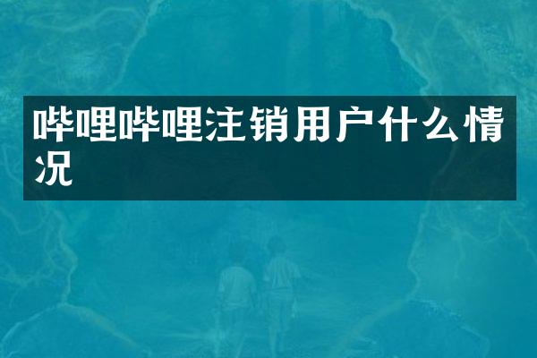 哔哩哔哩注销用户什么情况