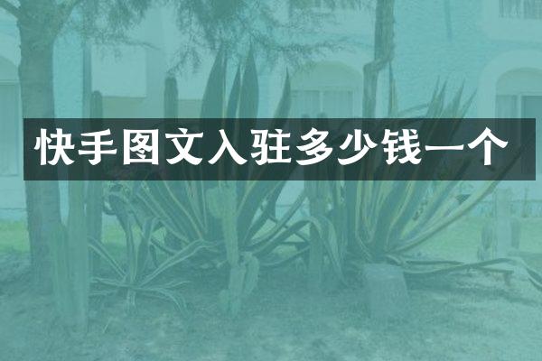 快手图文入驻多少钱一个