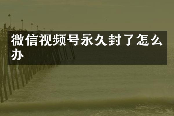 微信视频号永久封了怎么办