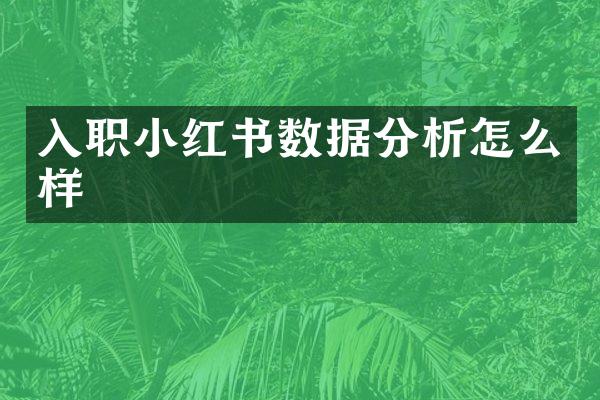 入职小红书数据分析怎么样