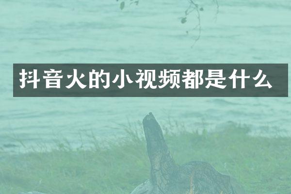 抖音火的小视频都是什么