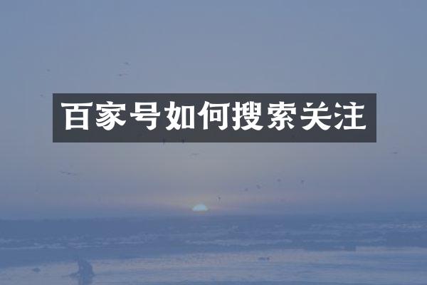 百家号如何搜索关注