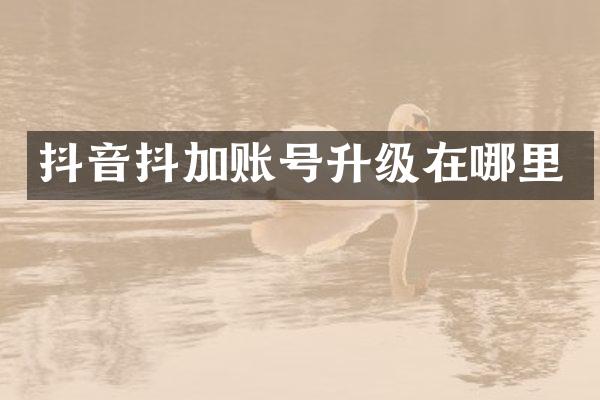 抖音抖加账号升级在哪里