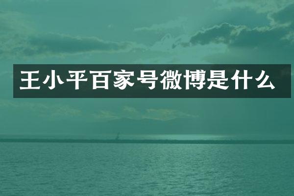 王小平百家号微博是什么