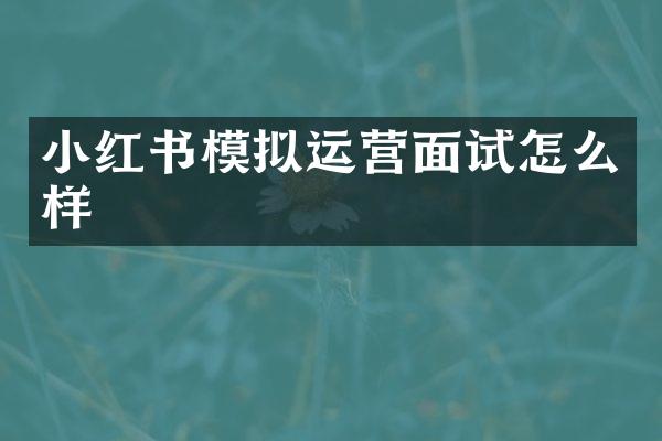 小红书模拟运营面试怎么样