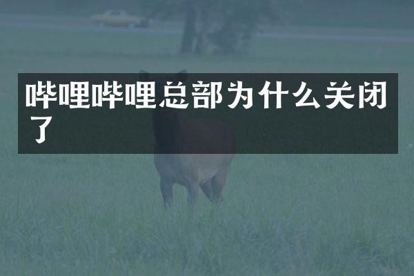 哔哩哔哩总部为什么关闭了