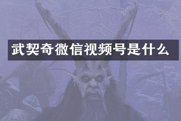 武契奇微信视频号是什么