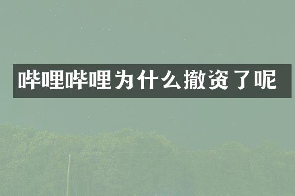 哔哩哔哩为什么撤资了呢