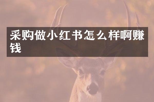 采购做小红书怎么样啊赚钱