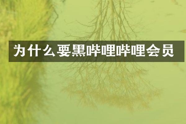 为什么要黑哔哩哔哩会员