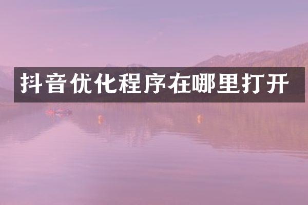 抖音优化程序在哪里打开