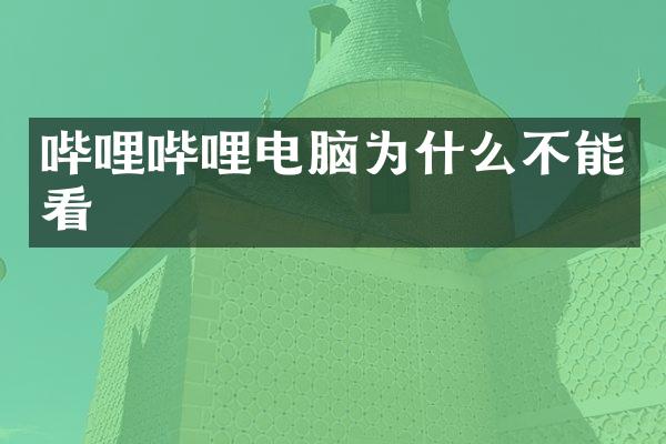 哔哩哔哩电脑为什么不能看